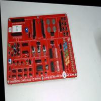 Dataset Image