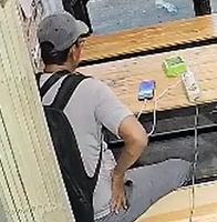 Dataset Image