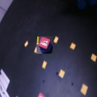 Dataset Image