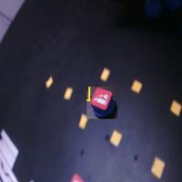 Dataset Image