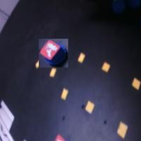 Dataset Image