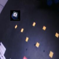 Dataset Image