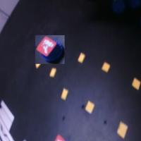 Dataset Image
