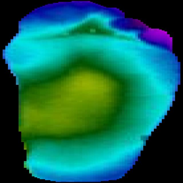 Dataset Image