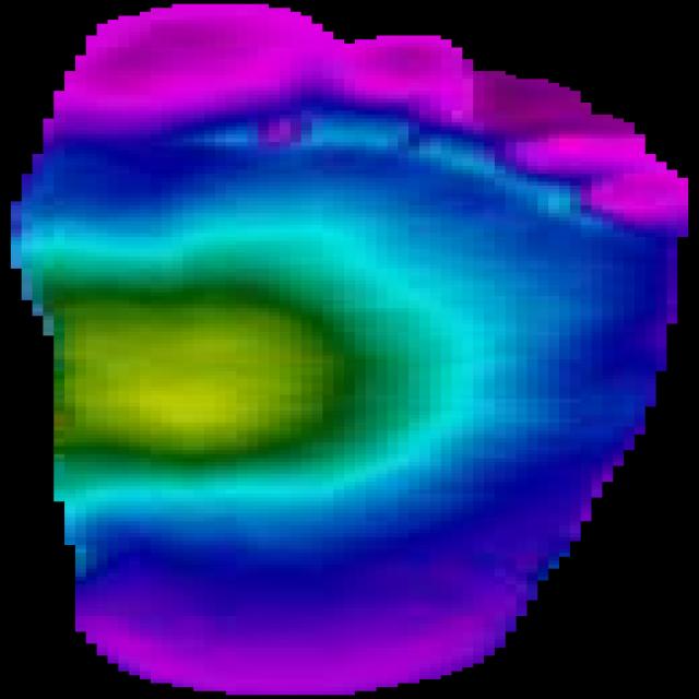 Dataset Image