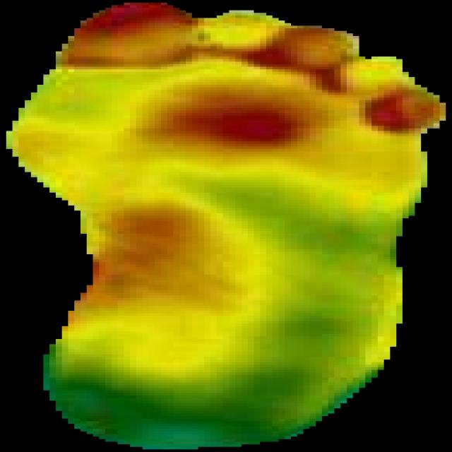 Dataset Image