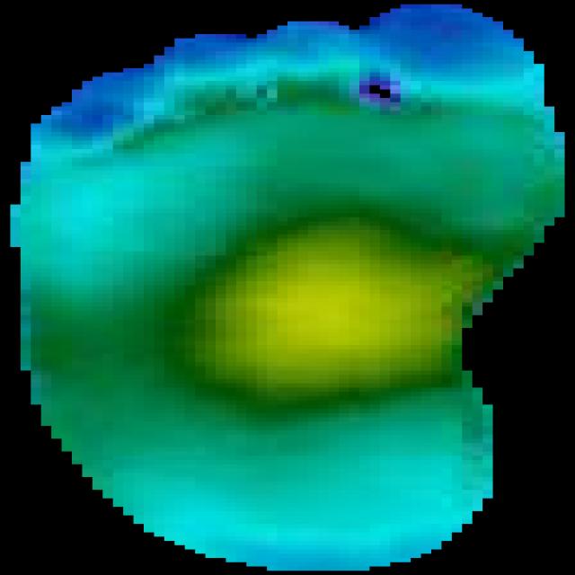 Dataset Image