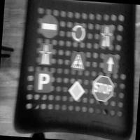 Dataset Image