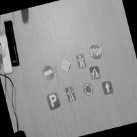 Dataset Image
