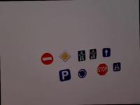 Dataset Image
