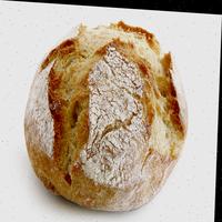 Dataset Image