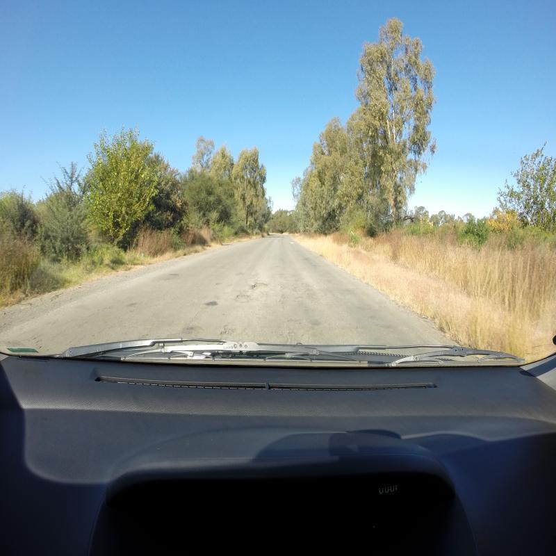 Dataset Image