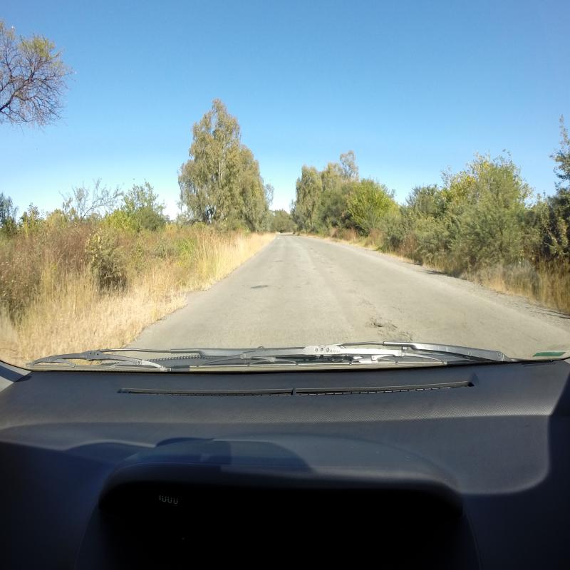 Dataset Image