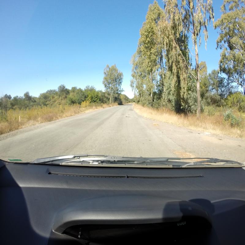 Dataset Image