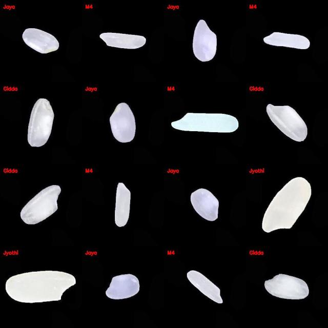 Dataset Image