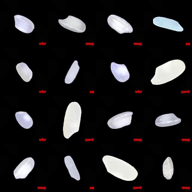 Dataset Image
