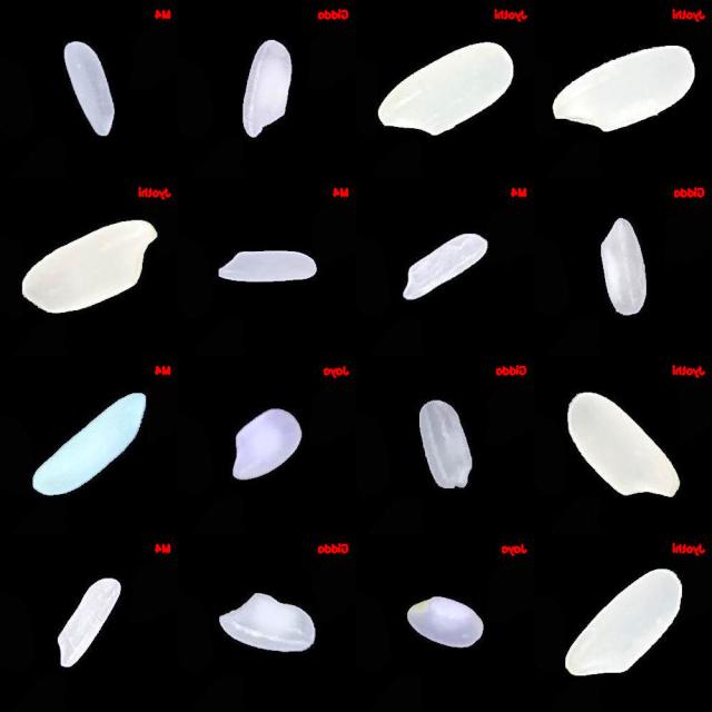 Dataset Image