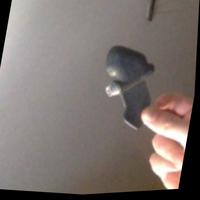 Dataset Image