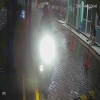 Dataset Image