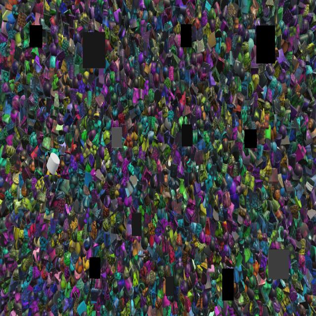 Dataset Image