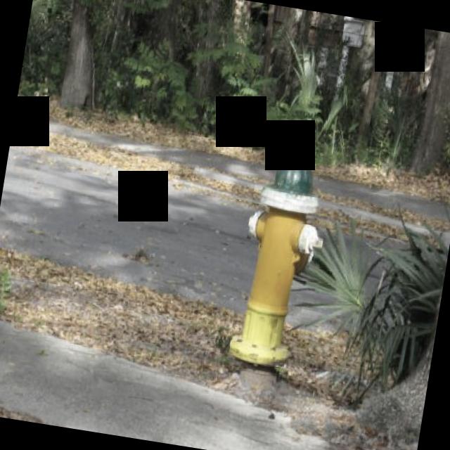 Dataset Image