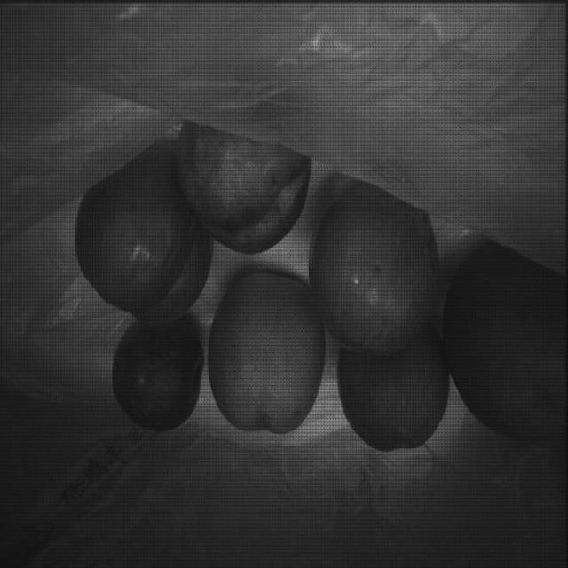 Dataset Image