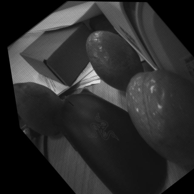 Dataset Image