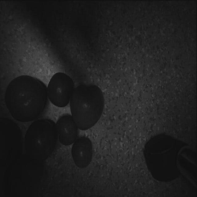 Dataset Image