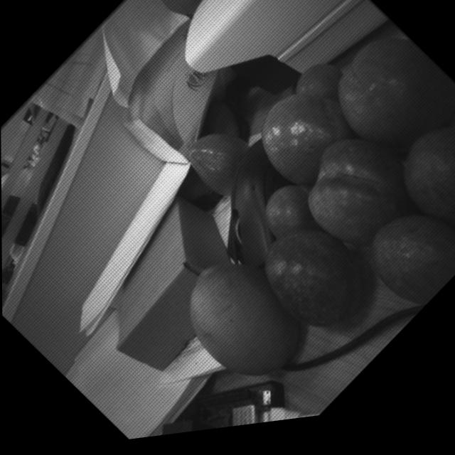 Dataset Image