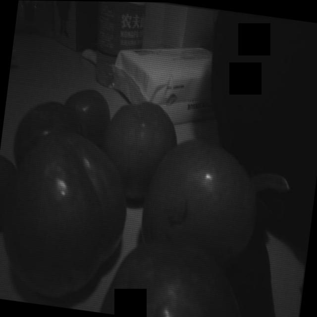 Dataset Image