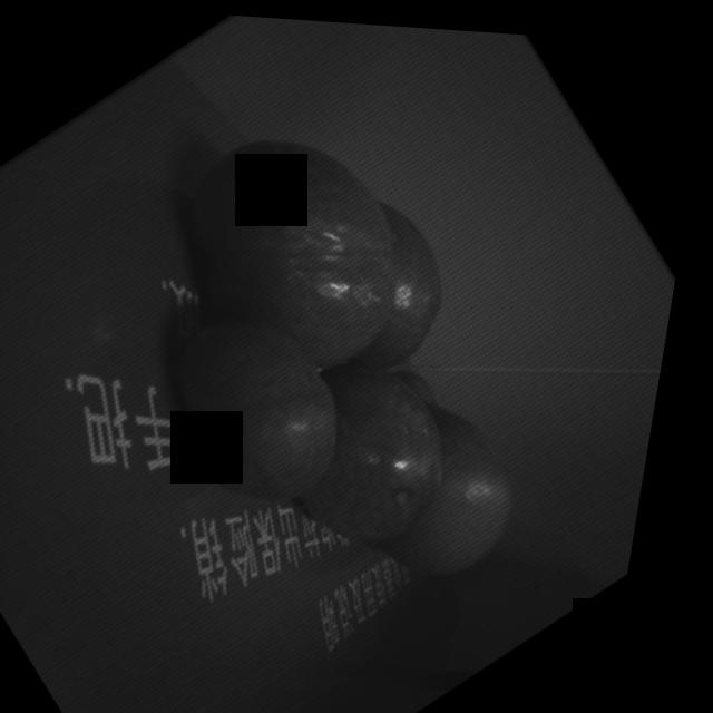 Dataset Image
