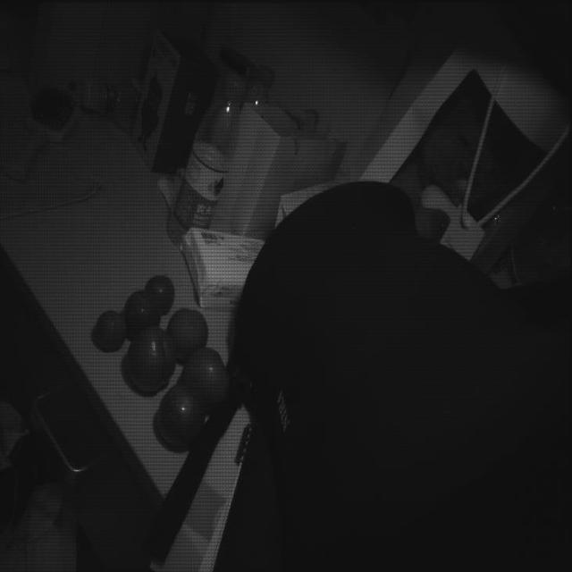Dataset Image