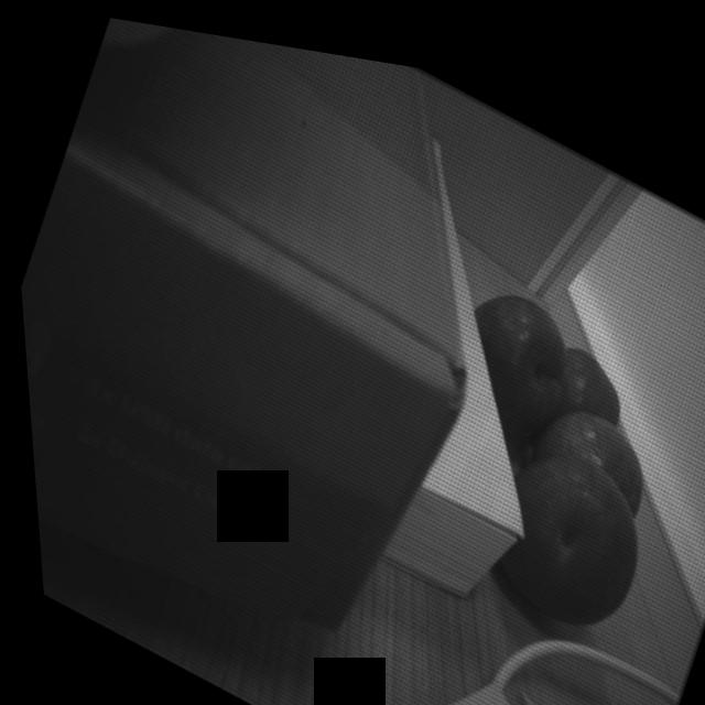 Dataset Image
