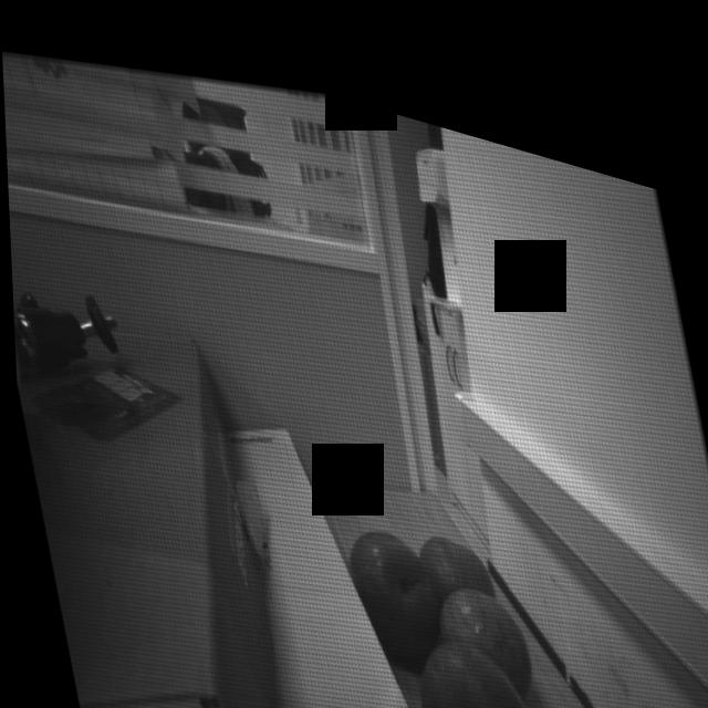 Dataset Image