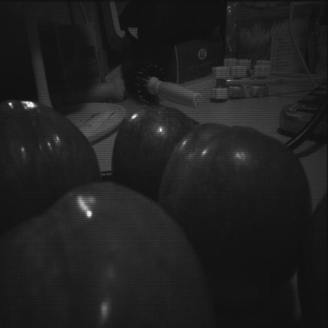 Dataset Image
