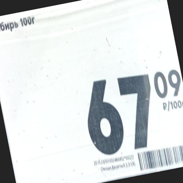 Dataset Image