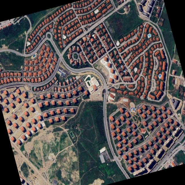 Dataset Image