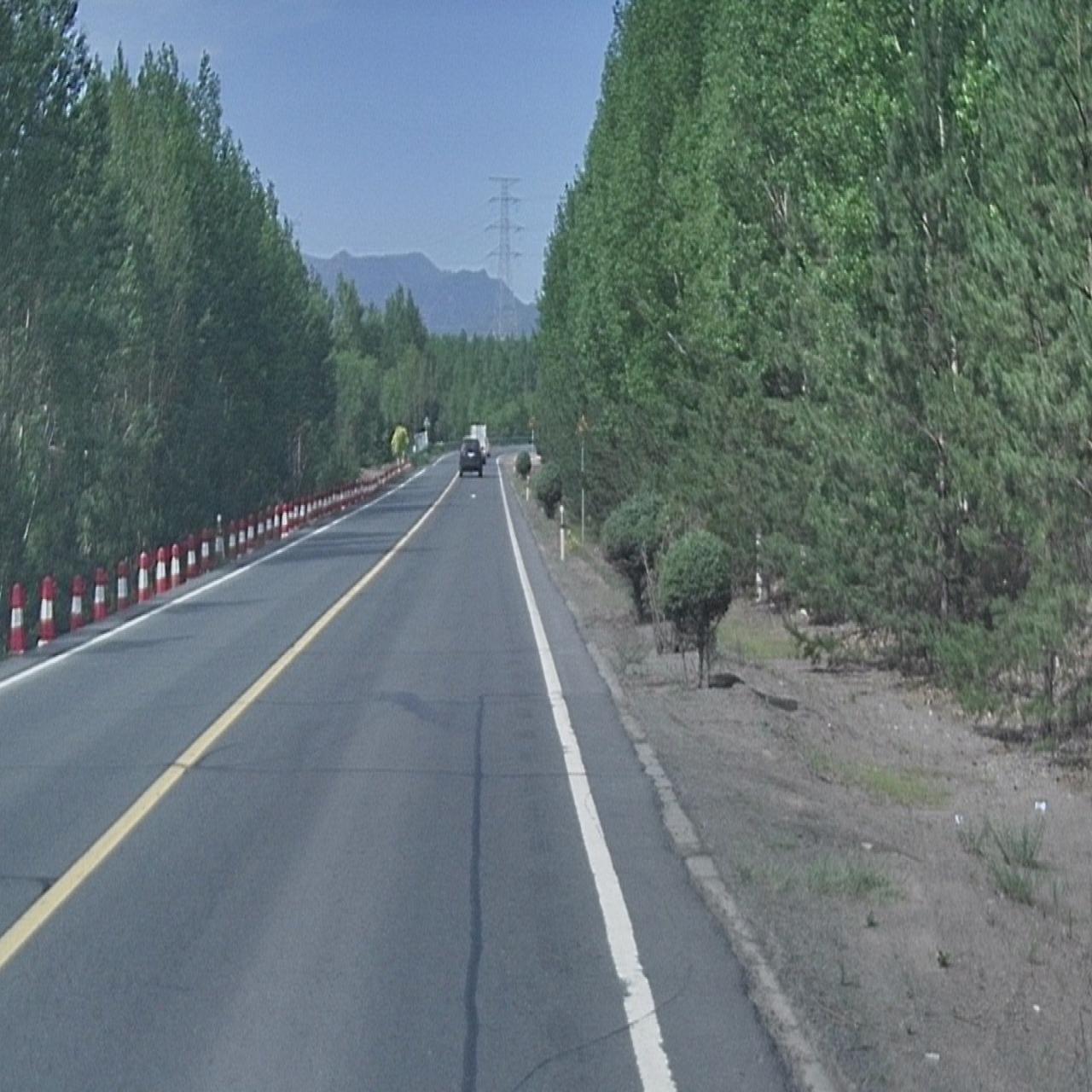 Dataset Image