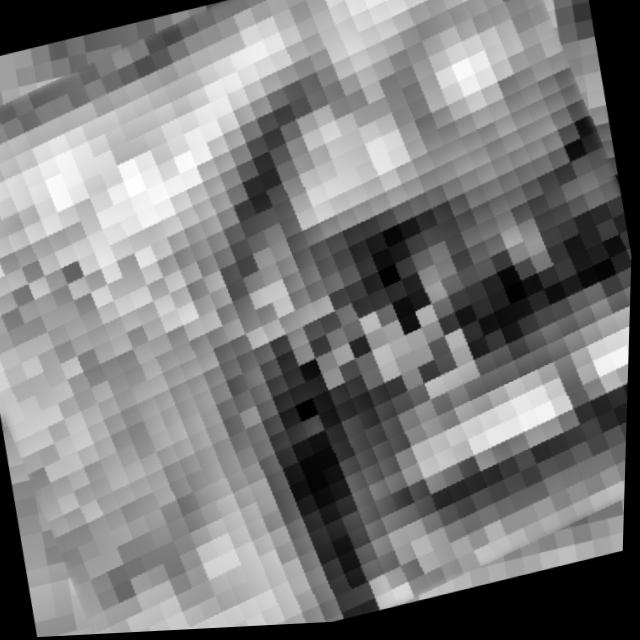 Dataset Image