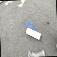 Dataset Image