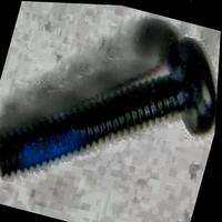 Dataset Image