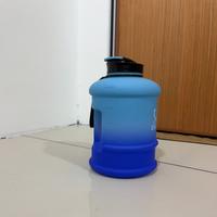 Dataset Image