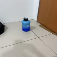 Dataset Image