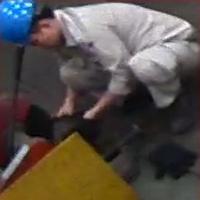 Dataset Image