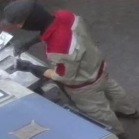 Dataset Image