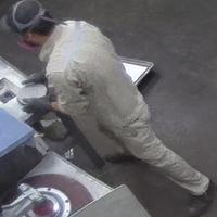 Dataset Image