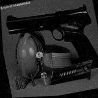 Dataset Image