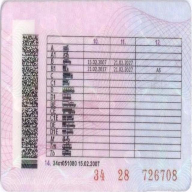 Dataset Image