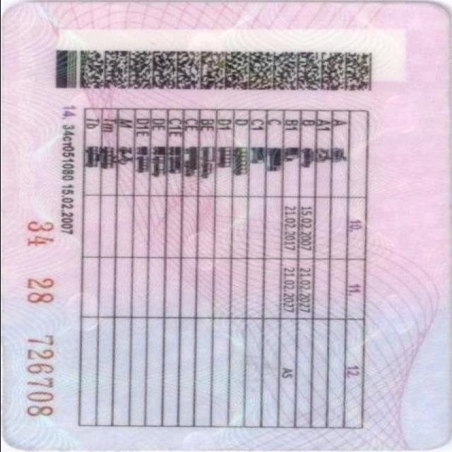 Dataset Image