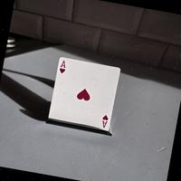 Dataset Image